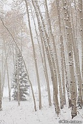 Aspensinfogsnow100711 312