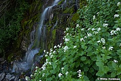 Timpanogos Waterfall 070913 4776