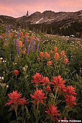 Albion Basin Sunset 072217 4993 F