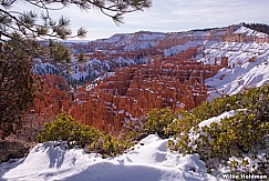Bryce Canyon Glow 020215 7990