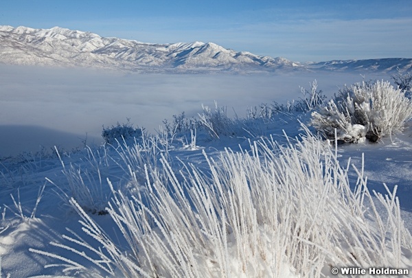 Frost Hillside Heber Winter 122013 145