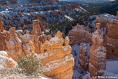 Bryce Canyon Winter Glow 121521 9647