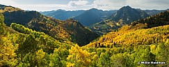ButlercanyonyellowsII