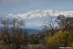 Timpanogos Clouds 042716 1807