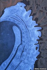 217000006719
