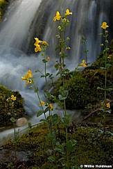 AmericanFork waterfall 063012 109