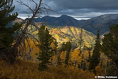 American Fork Canyon Light 093025 0011