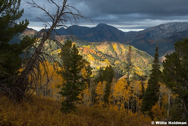 American Fork Canyon Light 093025 0011