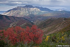 Timpanogos Bear Canyon 091012 396