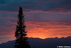 Lone Tree Sunset 091921 3657