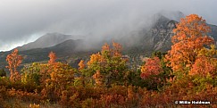 Timpanogos Oranges 101117 7052