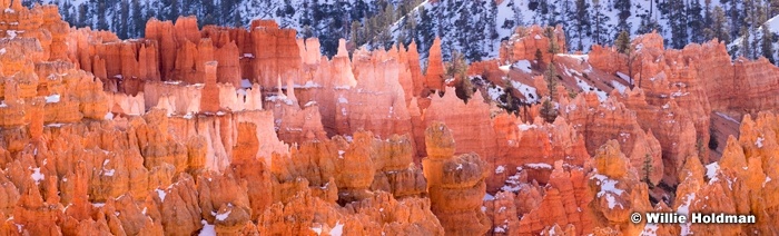 Bryce Canyon Morning Glow 020215