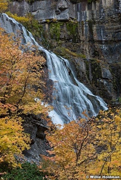 Orange Maple Leaves Waterfall 101317 1874 51
