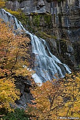 Orange Maple Leaves Waterfall 101317 1874 51