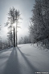 Aspen Shadows 010824 2447