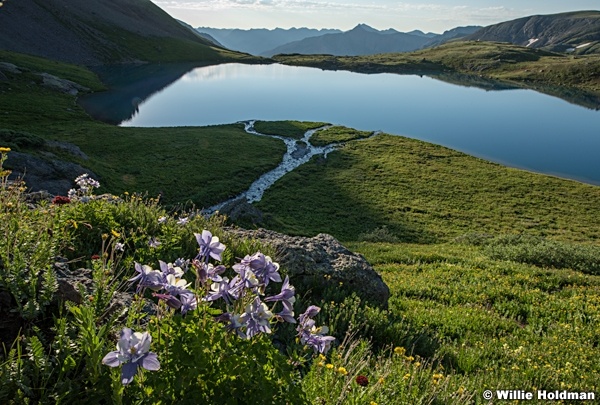 San Juan Wildflowers Ice Lake 071024 9230 2