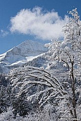 Frosty Timpanogos 122616 8433 4