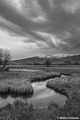 S Curve Stream Pasture BW 050320 1466 3