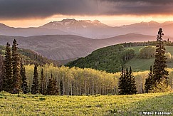 Wasatch Back Spring 062919 7513