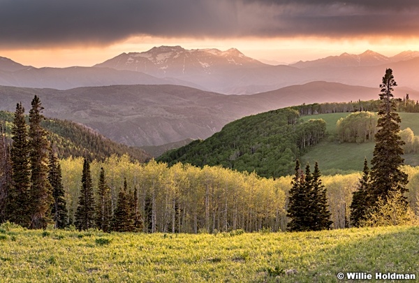 Wasatch Back Spring 062919 7513