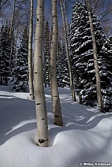 Aspen Winter Shadow 041312 13