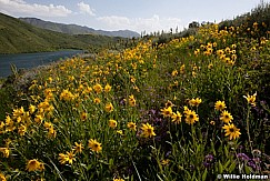 Deellakeparleys062911 9