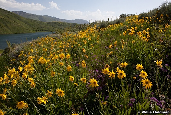 Deellakeparleys062911 9