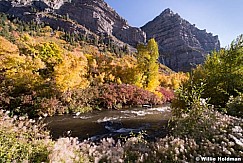 Provo River 100915 3