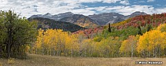 Autumn Meadow Timpanogos 093021 6845