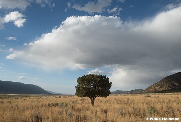 Orange Map les Aspens Autumn 091325 2