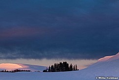Aspensunmeadow012111 39