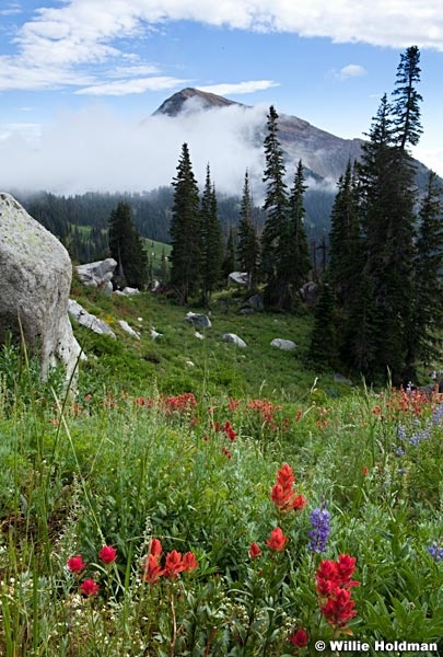 Lone Peak Wilderness 0043