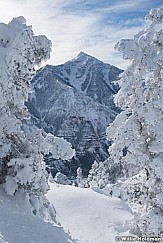 Frosty Trees Sundance Summit 010723 0573 2