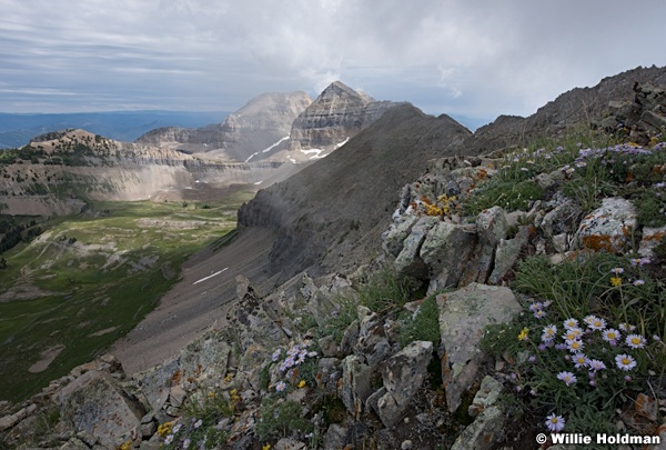 Top-Timpanogos-071715-0189