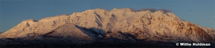 Dtimpanogosfromorem2005