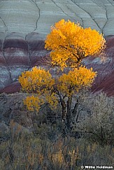 Awakinging Badlands 102021 0617 2