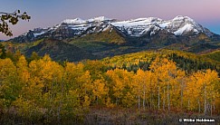 Timpanogos Autumn A Blaze 100523 9392