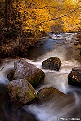 Bigcottonwoodstream102010 6437
