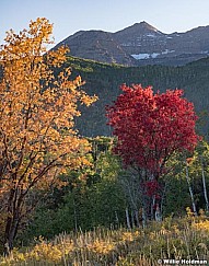 Red Orange Maples Timpanogos 092919 3018 4