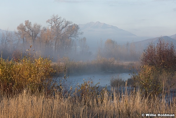 Provo River Misty Autumn 102215 8127 2