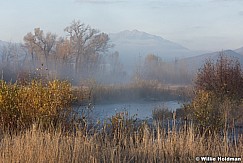 Provo River Misty Autumn 102215 8127 2