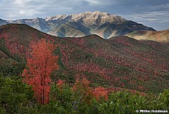 Cascade Autumn Bearcanyon 091012