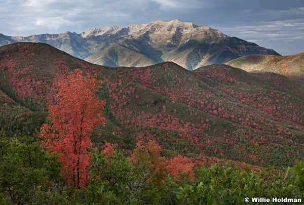 Cascade Autumn Bearcanyon 091012