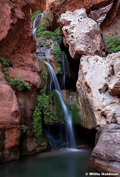 Grand Canyon Elves Chasem 042012 550