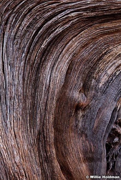 Wood patterns 052311 1072