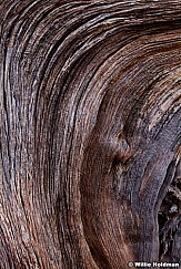 Wood patterns 052311 1072