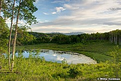 Centercreekmeadow063010