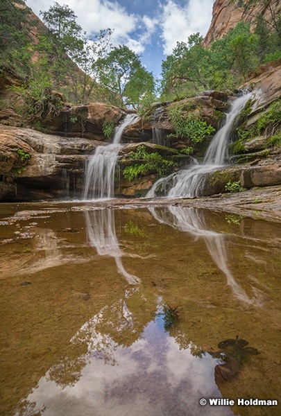 Zion Waterfall Reflection 052625 5179