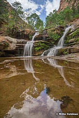 Zion Waterfall Reflection 052625 5179