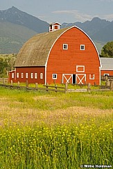 montanabarn070608 1998